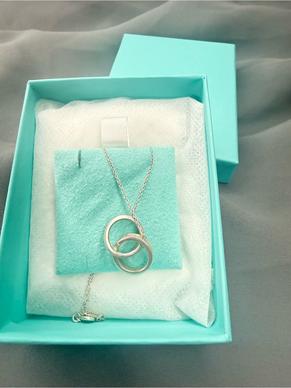 Tiffany & Co. 1837 Interlocking Circles Pendant Necklace – Sterling Silver